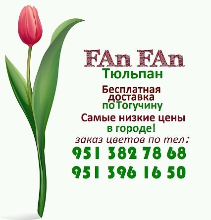 Фан Фан Магазин Цветов