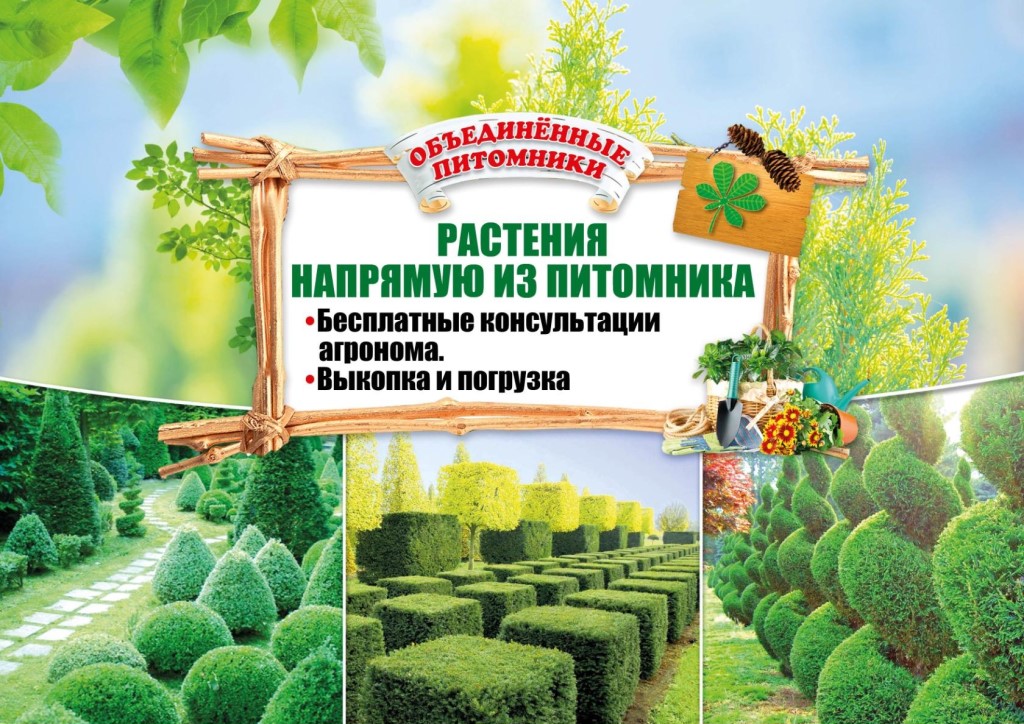 Питомники Шоп Интернет Магазин Москва