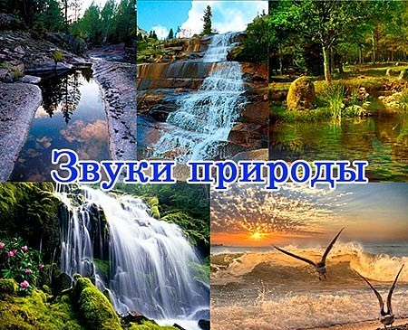 Звуки Природы.101