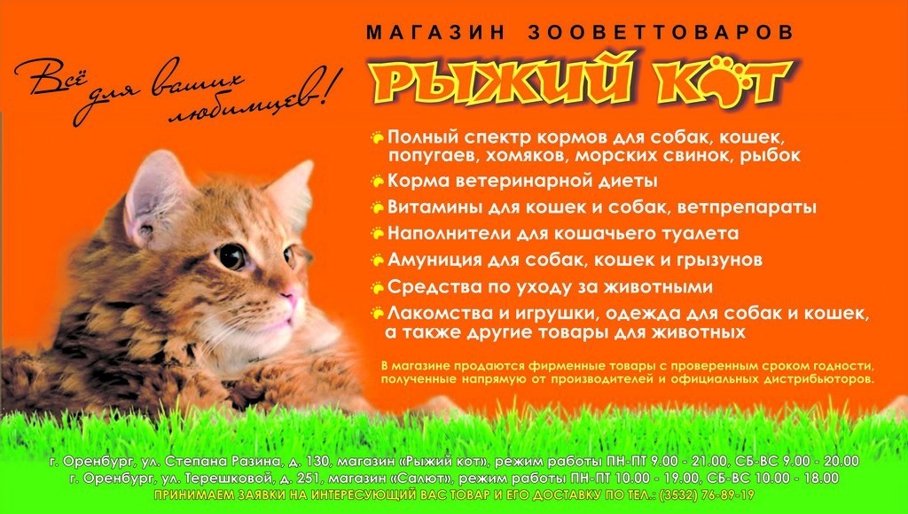 Магазин Рыжий Кот Оренбург Официальный Сайт