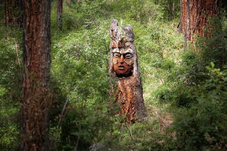 Вещий Лес Интернет Магазин