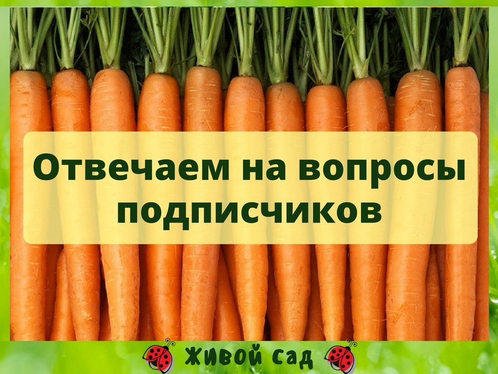 Магазин Земледелец В Санкт Петербурге Официальный Сайт