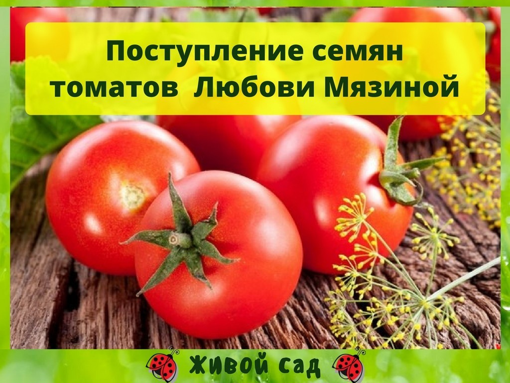 Магазин Семян Томатов В Москве