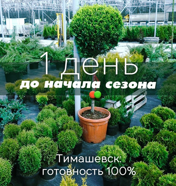 Магазин Сити Тимашевск Официальный Сайт