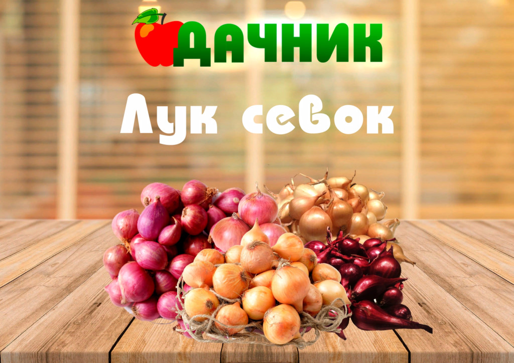 Магазин Дачник Омск Режим Работы