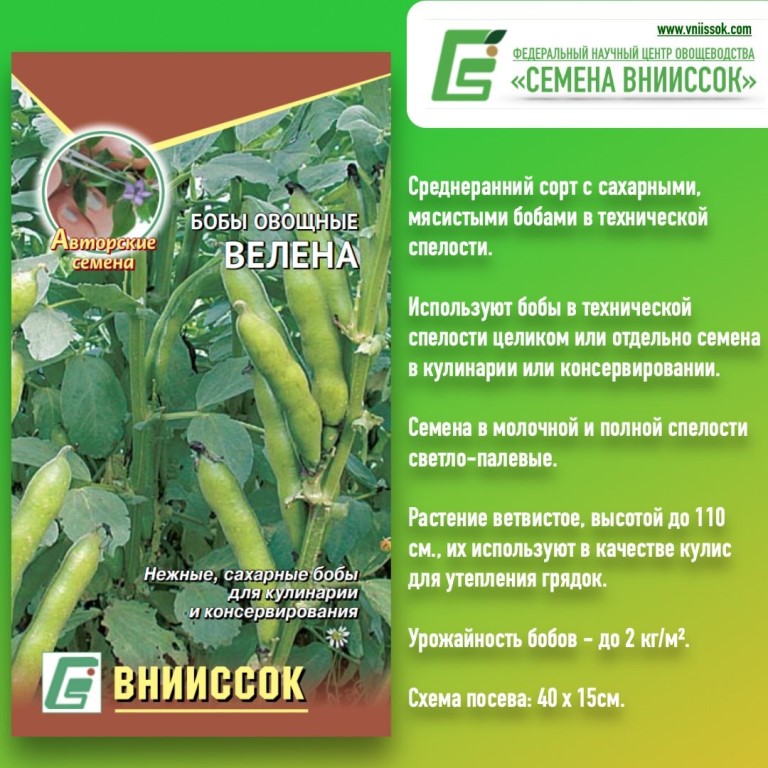 Внииссок Магазин Семена