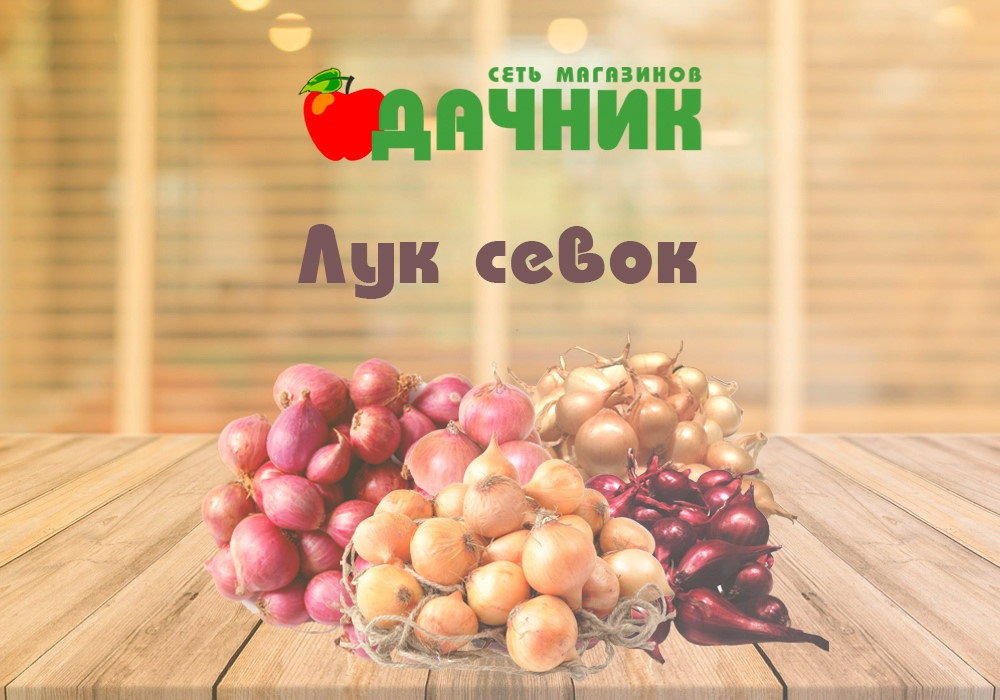 Магазин Дачник В Омске Официальный Сайт