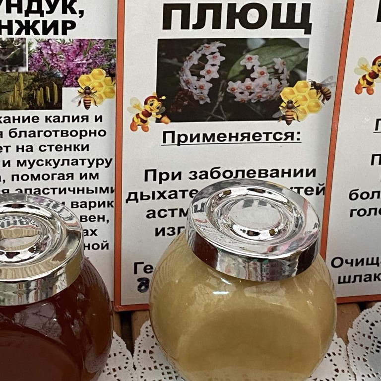 Мед из плюща польза фото и описание Мед из плюща польза фото и описание