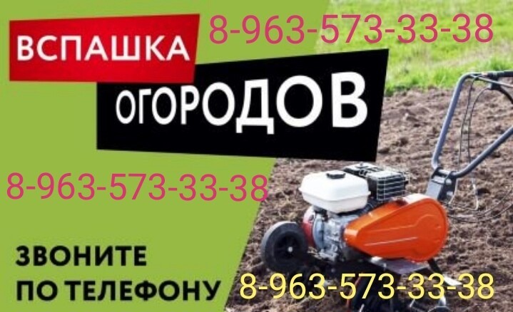 Магазин Садовод Бийск