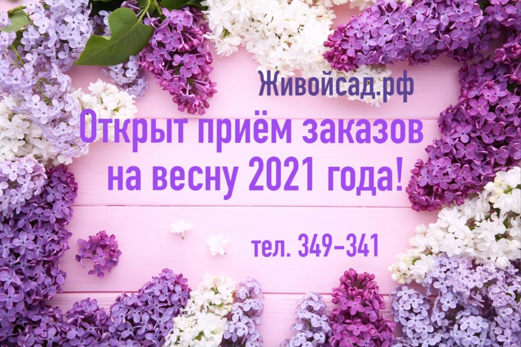 Долина Растений Интернет Магазин Каталог 2021