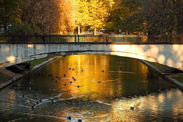 Парк красная пресня фото Парк красная пресня фото